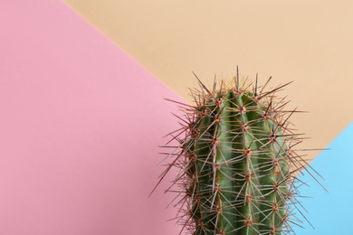 Beautiful cactus plant on color background, closeup. Space for text