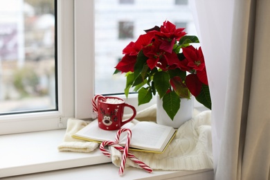 Beautiful poinsettia, cup of hot cocoa and candy canes on window sill. Traditional Christmas flower