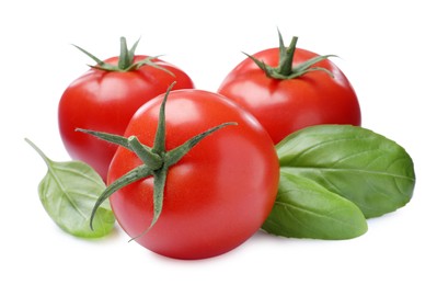 Photo of Fresh green basil leaves and tomatoes on white background