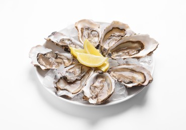 Delicious fresh oysters with lemon slices isolated on white