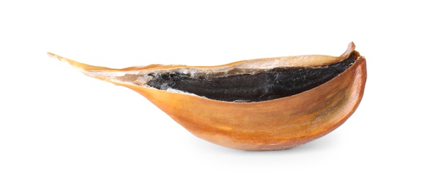 Unpeeled clove of aged black garlic on white background