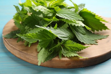 Wooden board with fresh stinging nettle leaves on light blue table, closeup