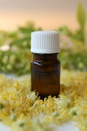 Photo of Bottle of essential oil on linden blossoms against blurred background, closeup
