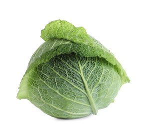 Fresh ripe savoy cabbage isolated on white