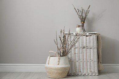 Fresh pussy willow branches and wicker baskets indoors. Space for text