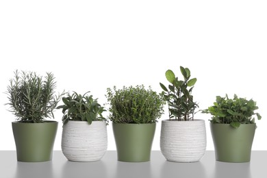 Pots with thyme, bay, sage, mint and rosemary on white background