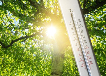 Image of Weather thermometer and beautiful tree with green leaves on background, space for text