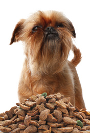 Cute Brussels Griffon and feeding pile of dog food on white background