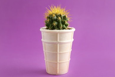 Cactus in ice cream waffle on violet background. Tooth sensitivity to cold