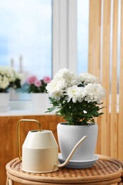 Photo of Beautiful chrysanthemum plant in flower pot and watering can on wooden table indoors