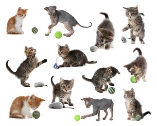 Adorable kittens playing with toys on white background, collage. Lovely pet 