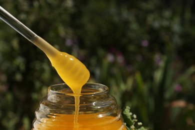 Taking delicious fresh honey with dipper from glass jar against blurred background, closeup