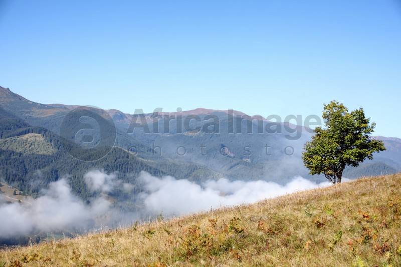 Picturesque view of foggy mountain in morning