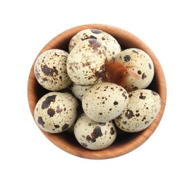 Wooden bowl with quail eggs and feather isolated on white, top view