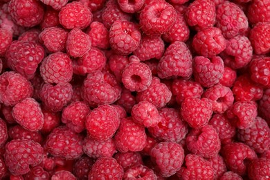 Photo of Many fresh red ripe raspberries as background, top view