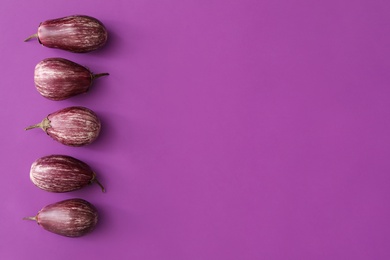 Raw ripe eggplants on purple background, flat lay. Space for text