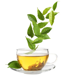 Green leaves falling into cup of tea on white background