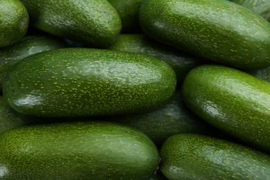 Fresh whole seedless avocados as background, closeup