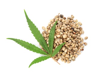 Leaf and seeds of medical hemp on white background, top view