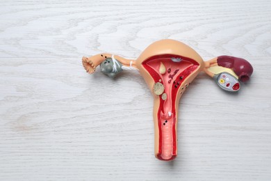 Anatomical model of uterus on white wooden table, top view with space for text. Gynecology concept