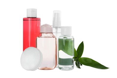 Bottles of micellar cleansing water, cotton pads and green plant on white background