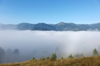 Picturesque view of mountains covered with fog