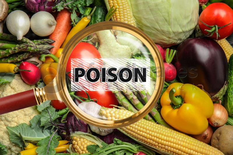 Magnifying glass on vegetables, top view. Food poisoning concept  