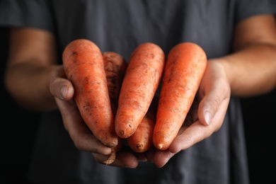 Farmer holding fresh ripe carrots, closeup view