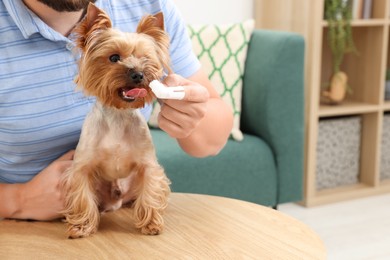 Man brushing dog's teeth on wooden table at home, closeup. Space for text