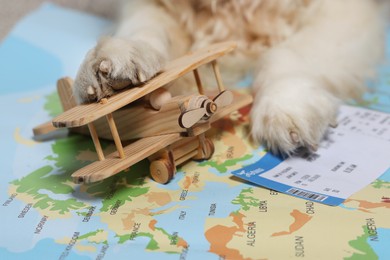 Dog lying near toy airplane and ticket on world map, closeup. Travelling with pet