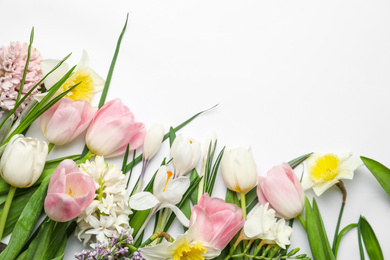 Beautiful spring flowers on white background, top view