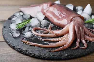 Photo of Fresh raw squid with ice and rosemary on wooden table, closeup