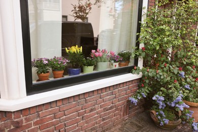 House decorated with many beautiful potted flowers, view from outside