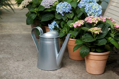Photo of Watering can and beautiful blooming hortensia plants in pots outdoors