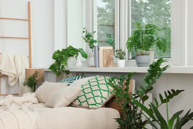 Stylish bedroom interior with beautiful house plants. Home design idea