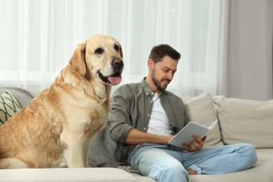 Photo of Man reading book on sofa near his cute Labrador Retriever at home, selective focus