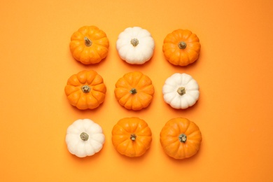 Different ripe pumpkins on orange background, flat lay