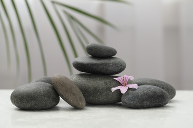 Photo of Spa stones and fresia flower on white table indoors