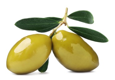 Olives with green leaves on white background
