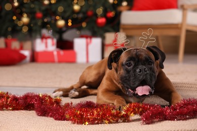 Photo of Cute dog wearing festive headband in room decorated for Christmas