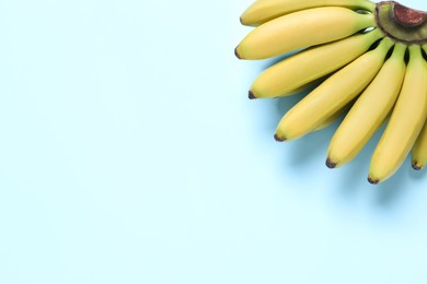 Bunch of ripe baby bananas on light blue background, top view. Space for text