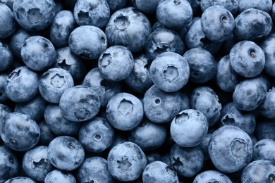 Tasty fresh ripe blueberries as background, top view