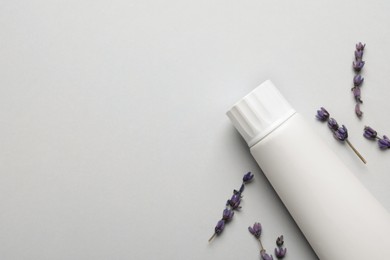 Photo of Blank tube of toothpaste with lavender flowers on white background, flat lay. Space for text