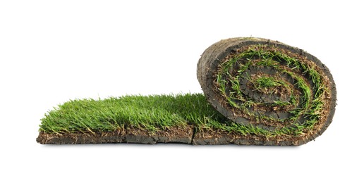 Rolled sod with grass on white background