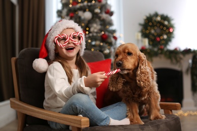 Cute little girl in Santa hat feeding English Cocker Spaniel with candy cane at home. Christmas celebration