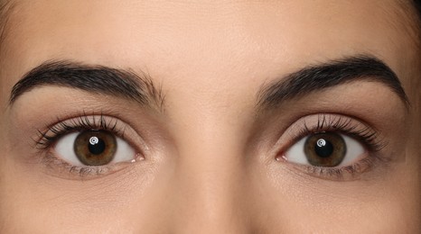 Young woman after eyelash lamination, closeup. Professional service
