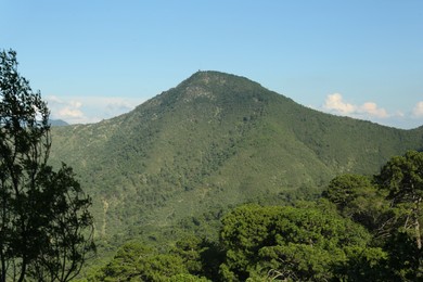 Photo of Big mountain and trees under blue sky on sunny day