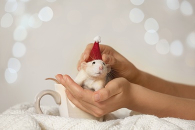 Woman holding cute little rat in Santa hat against blurred lights, closeup. Chinese New Year symbol