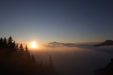 Aerial view of beautiful mountain landscape with forest and thick mist at sunrise