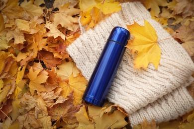 Blue thermos and knitted scarf on fallen maple leaves outdoors, flat lay